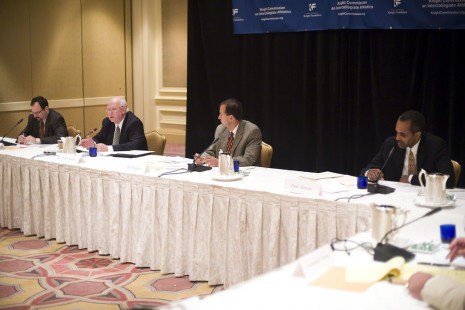 panel1e-2008june