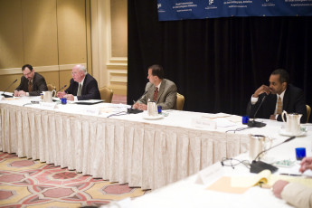 panel1f-2008june